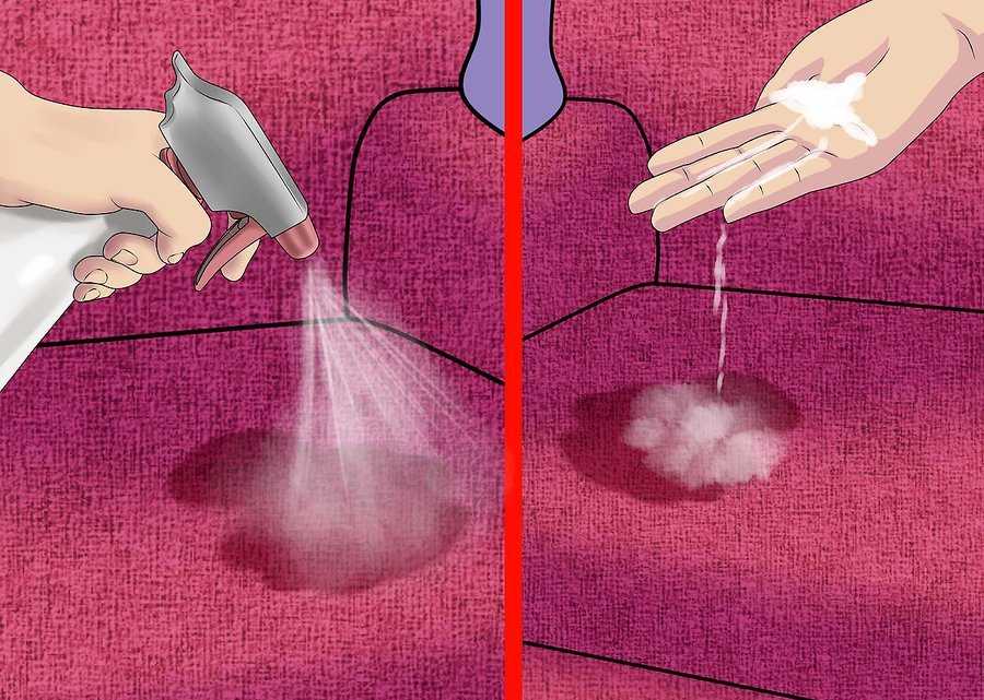 Как избавиться от запаха мочи на ковре: 9 средств  | mirnadivane.ru