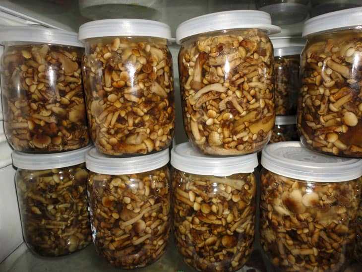 Сколько хранятся сушеные грибы в банке