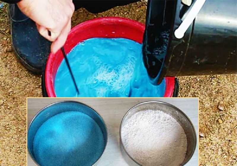 Бордосская жидкость: как приготовить смесь в домашних условиях, инструкция по применению - почва.нет