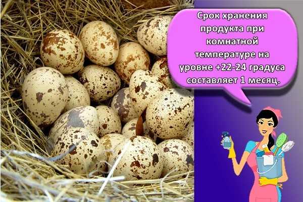 Каков срок хранения в домашних условиях сырых куриных яиц при комнатной температуре согласно санпин?