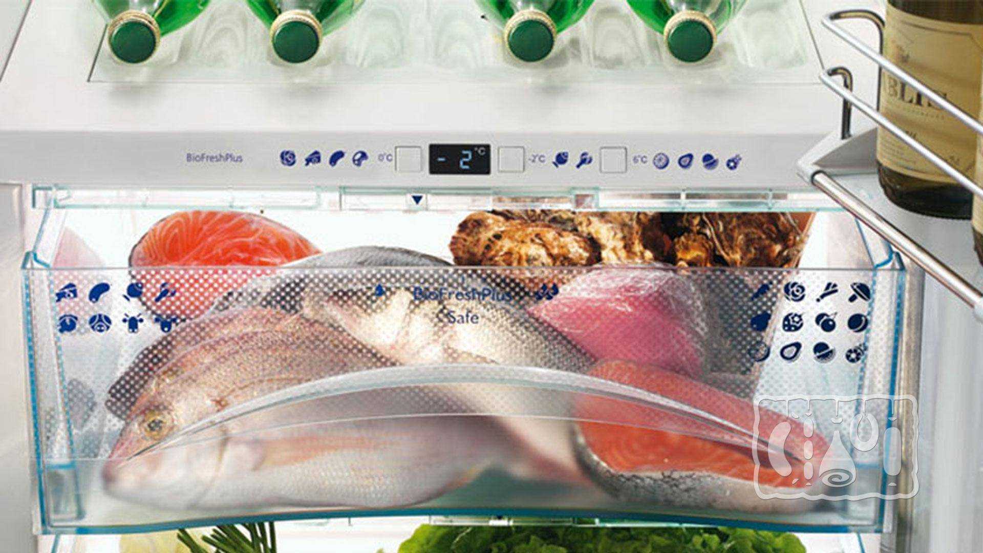 Сколько хранить рыбу в домашних условиях: в холодильнике, морозилке