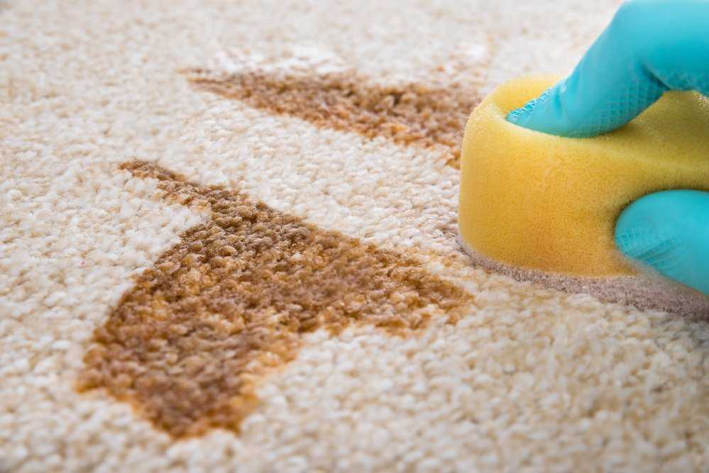 Как использовать «ваниш» для ковров: характеристика и особенности средства — домашние советы