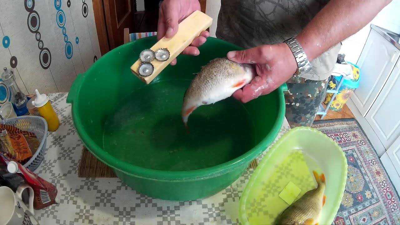 Как отмыть рыбу. Приспособление для чистки окуня от чешуи. Чистилка для рыбы. Рыбочистка для чистки речного окуня.
