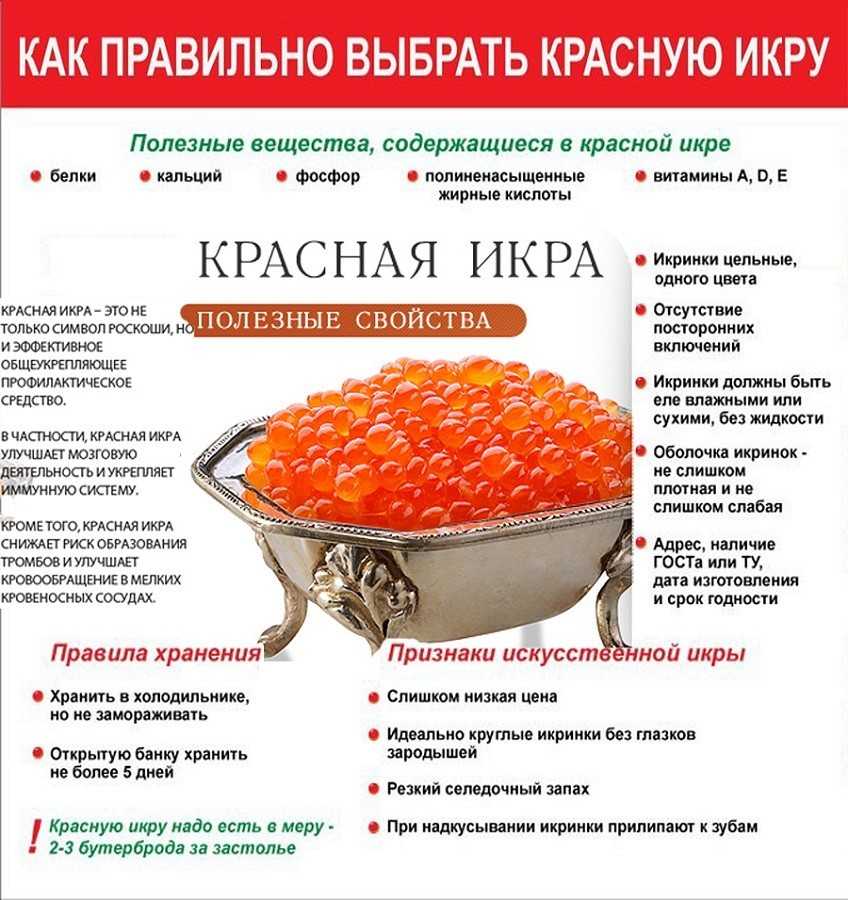 Как хранить красную икру в домашних условиях? можно ли замораживать красную икру :: syl.ru