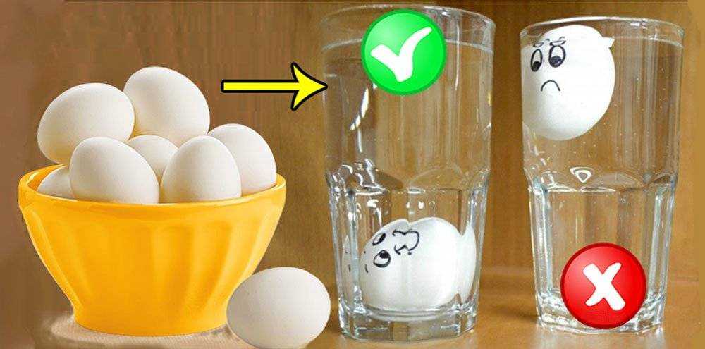 Способы того, как проверить свежесть яиц