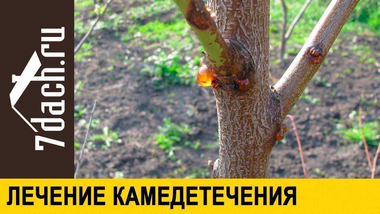 Как вывести пятна с цветной одежды, не испортив её
