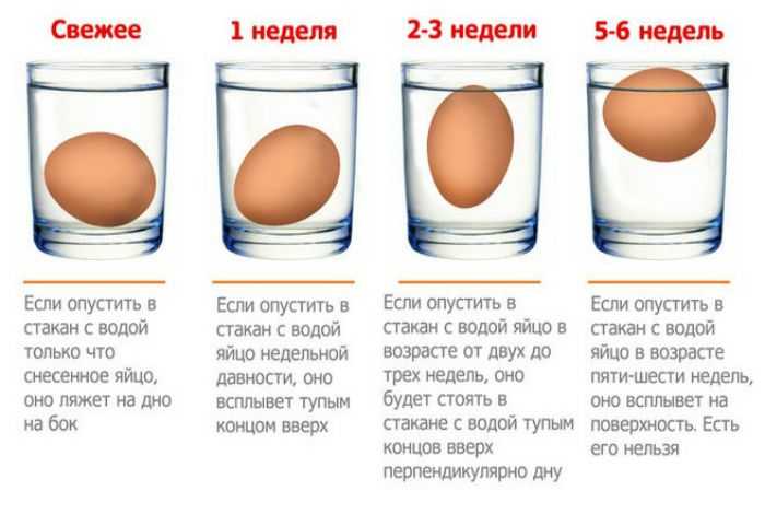 Срок годности и условия хранения перепелиных яиц: мифы и реальность