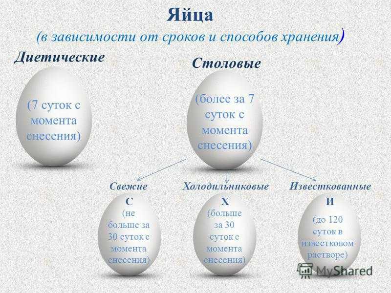 Правила хранения перепелиных яиц