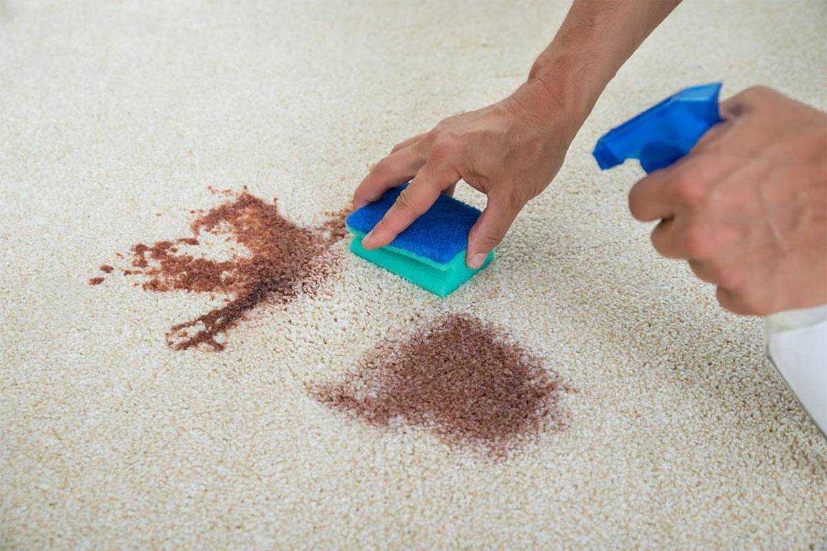 Как почистить ковролин в домашних условиях: чистка ковровых покрытий, чем очистить и мыть. чем отмыть, средство, уборка в домашних условиях, сухая чистка, фото и видео