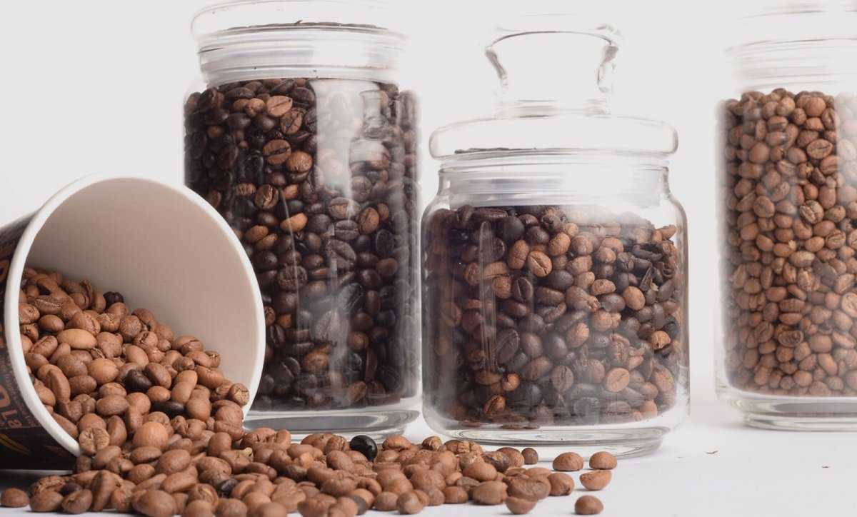 Кофе в зернах, молотый или быстрорастворимый — принципы правильного хранения разных видов кофе