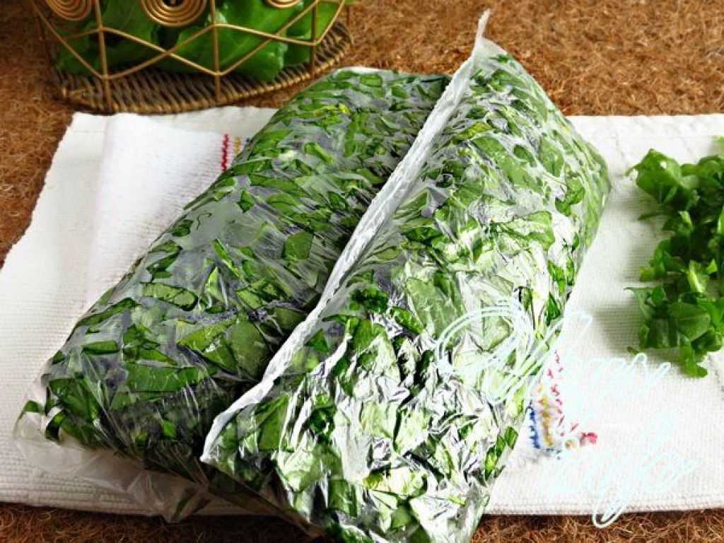 Как сохранить листовой салат на зиму: секреты и рецепты