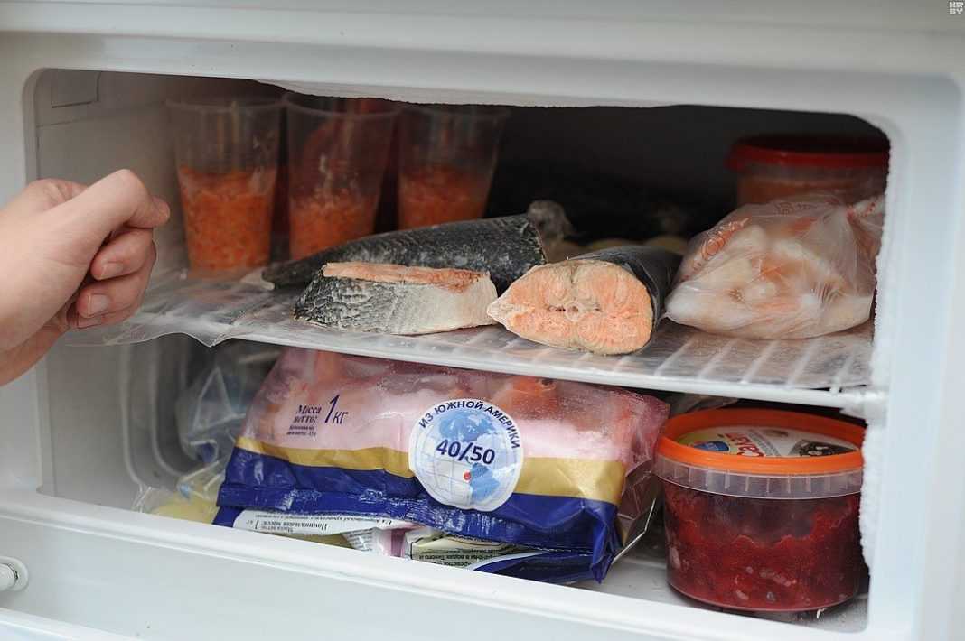 Cрок хранения охлажденной рыбы, соленой и замороженной: 3 рекомендации