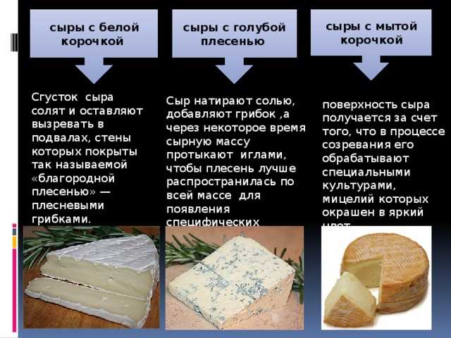 Основные виды сыров с названиями и описанием