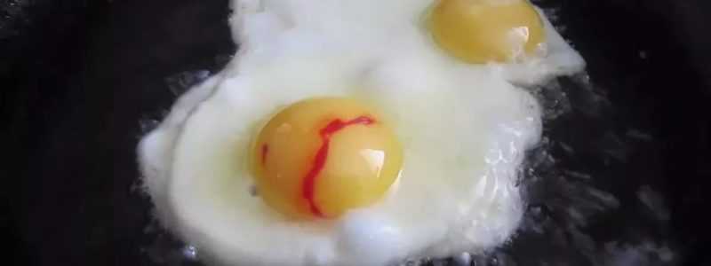 Кровь в сыром курином яйце: причины, приметы, можно ли его есть?