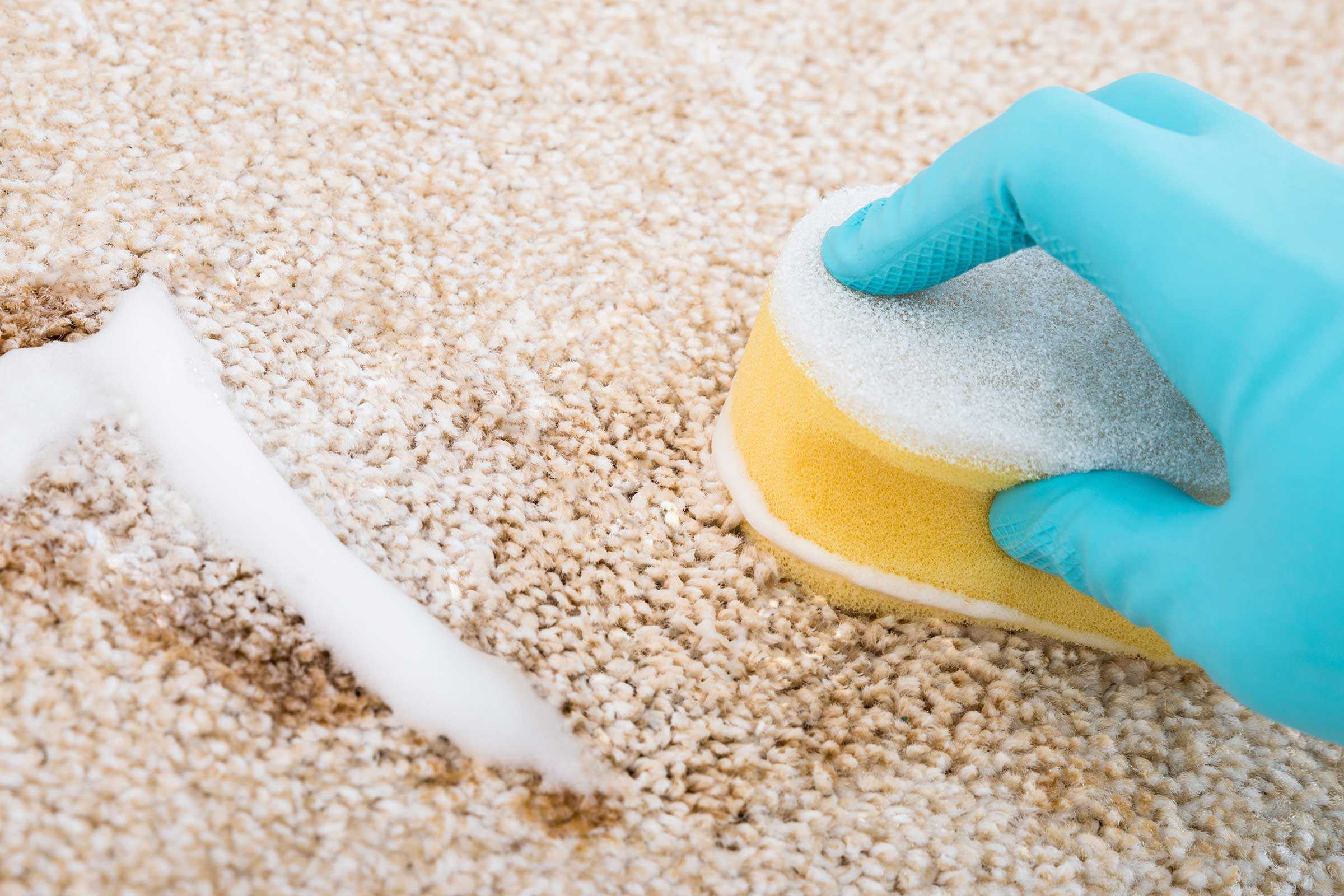 Ваниш для ковров: как правильно пользоваться спреем, пеной, шампунем и порошком для чистки паласов