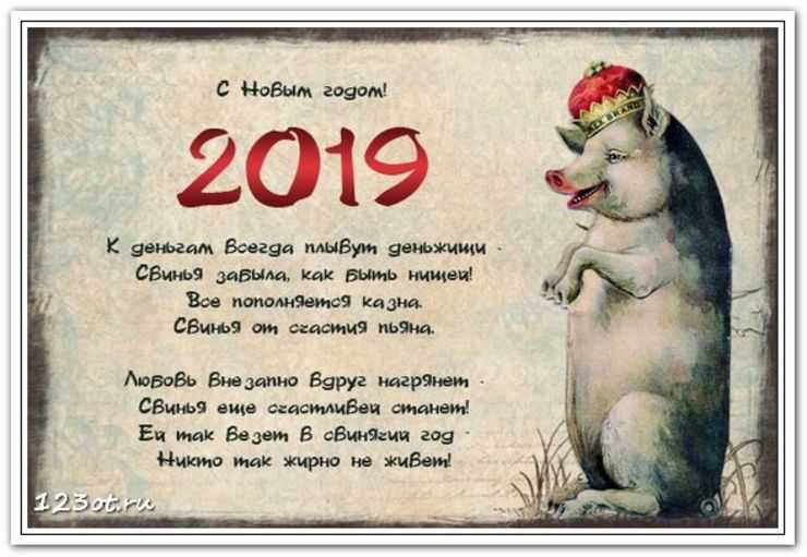 Поздравления друзьям с новым годом 2019 свиньи: красивые, прикольные и короткие поздравления в прозе своими словами и стихах для друзей