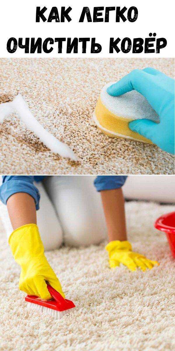 Ваниш для чистки ковров: как пользоваться, пошаговая инструкция