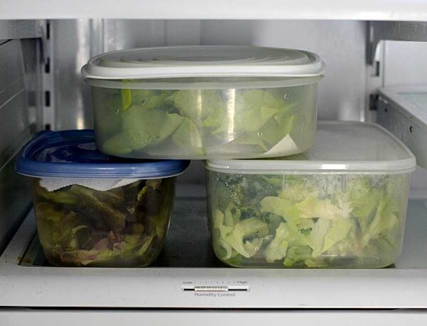 Как сохранить листья салата на зиму: 3 способа консервирования и 2 варианта заморозки